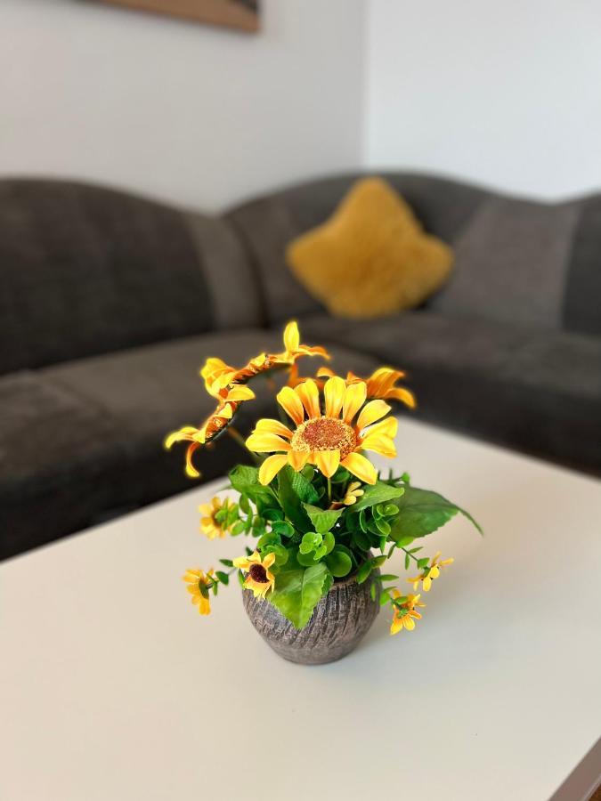 House51 Apartman Brassó Kültér fotó