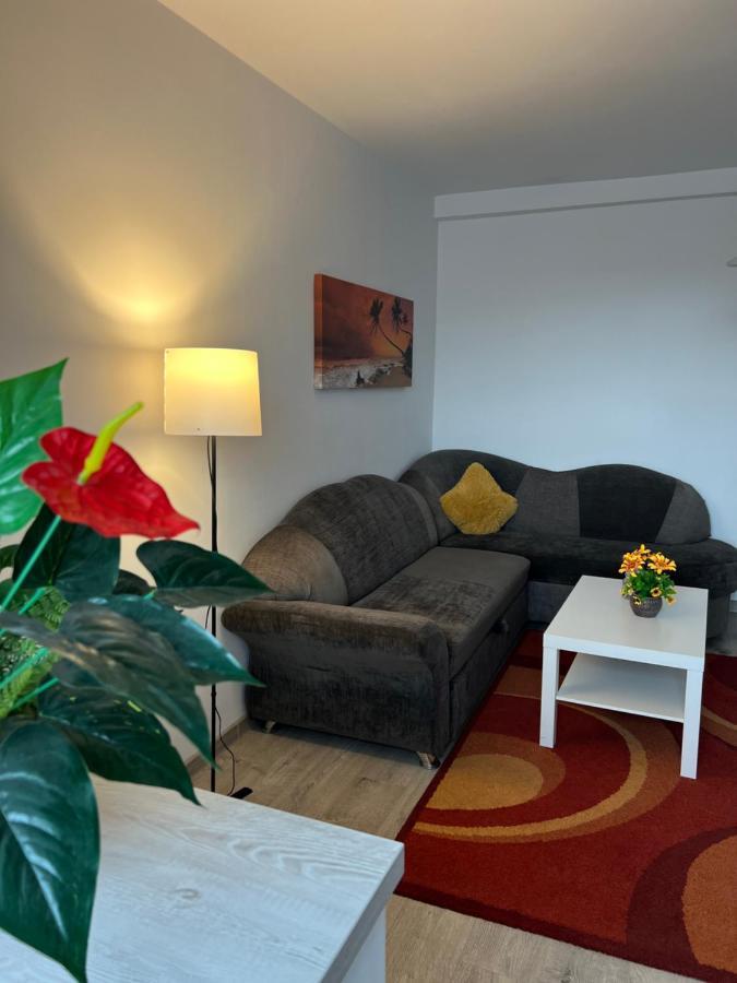 House51 Apartman Brassó Kültér fotó