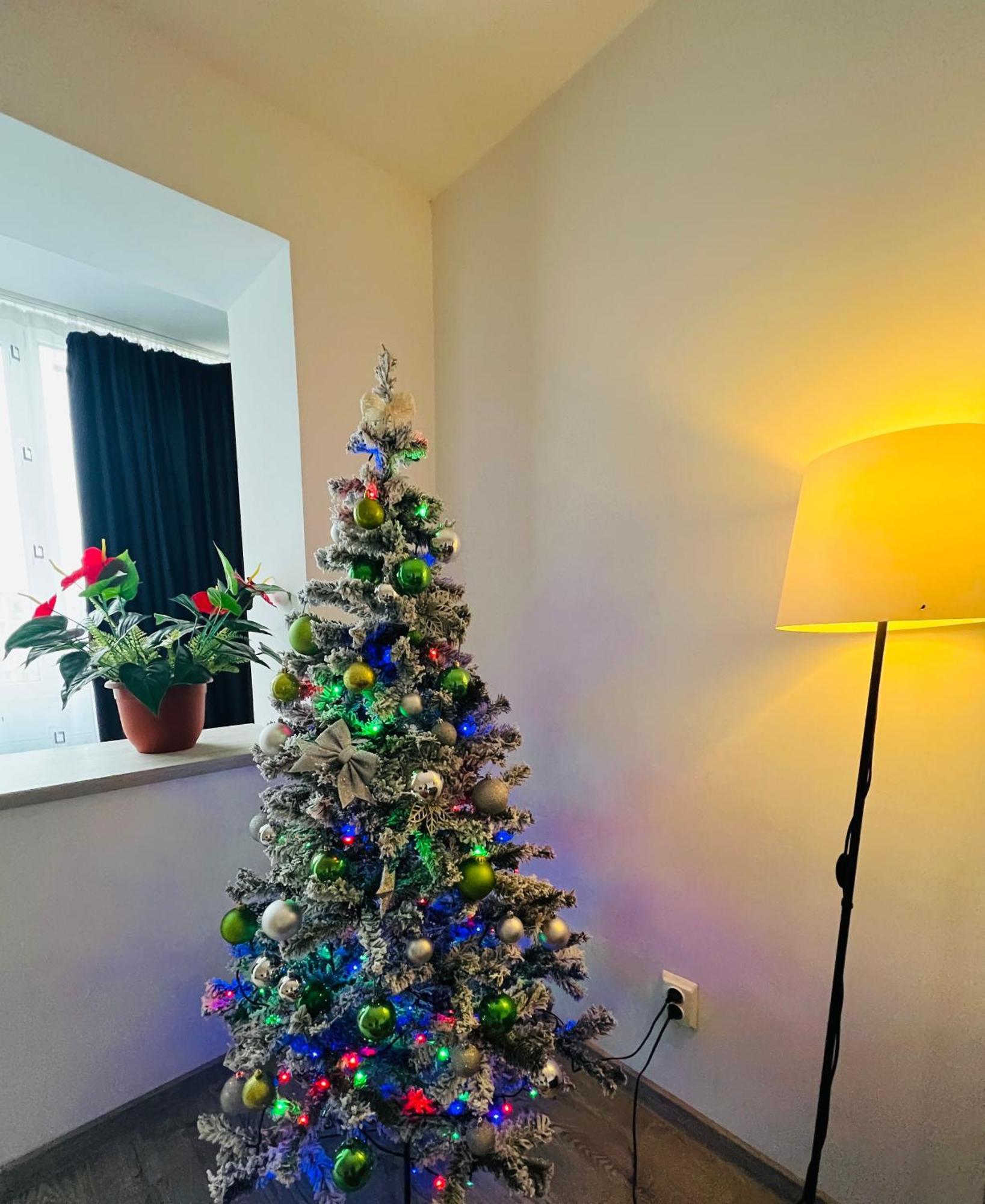 House51 Apartman Brassó Kültér fotó